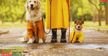 Dog-friendly parks