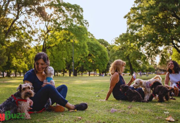 Dog-friendly parks